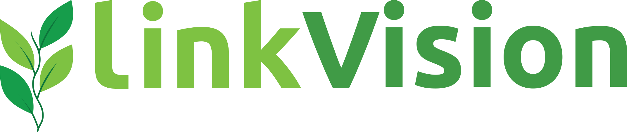LinkVision Logo