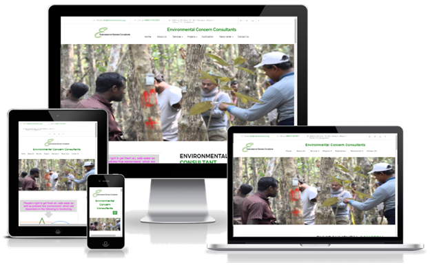 Environmental Concern Consultants Website